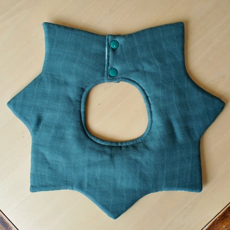 star bib サボテン