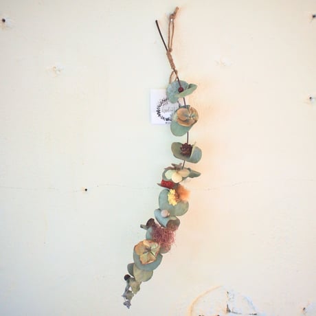 専用＊プロテア アンティーク ドライリース CATEGORY Lyplant 〈ﾄﾞﾗｲ