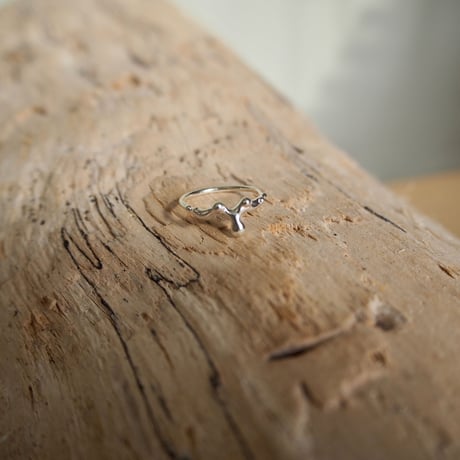 Ametsubu Ring /Rp1/silver/4号