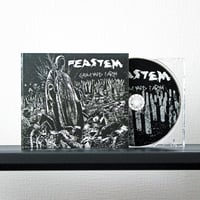 Feastem - Graveyard Earth (CD)