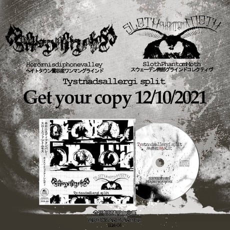 Horornisdiphonevalley / SlothPhantomMoth - Tystnadsallergi split (CD)