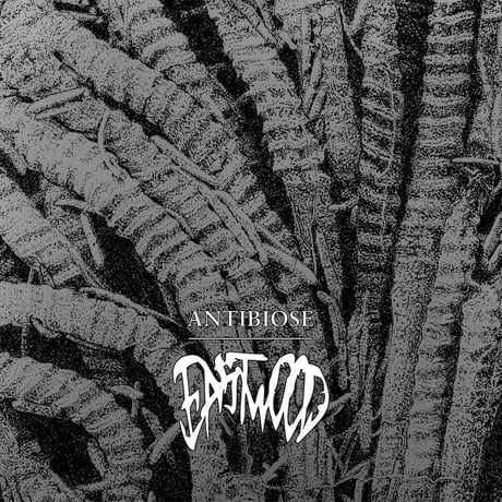 Eastwood	 - Antibiose (CASSETTE)