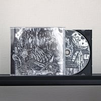 RAW ADDICT - Swarm Decomposition (CD)