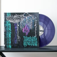HALLUCINATION REALIZED / REDUNDANT PROTOPLASM - Split (LP)