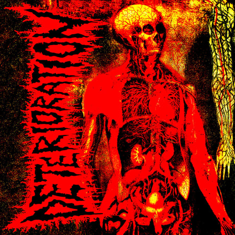 Deterioration - Transcending Human Confines (7inch)