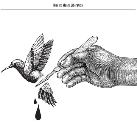 DML - DiscordMeansLiberation (LP)
