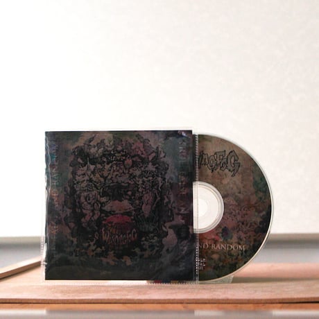 WARNINGFOG - True, False and Random (Pro CD-R)