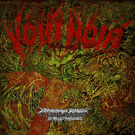 VOMI NOIR - L'Innommable Remugle & la Mélopée Cavernuleuse des Râles Agoniques  (CD)