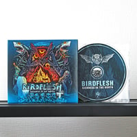 BIRDFLESH - Sickness In The North (CD)