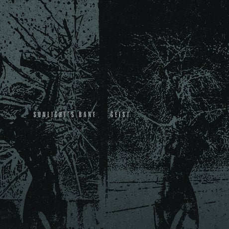 Sunlight's Bane  / Geist - Split (7inch)