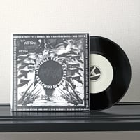 Apoptosi - Verso Un Futuro di Completa Anestesia (7inch)