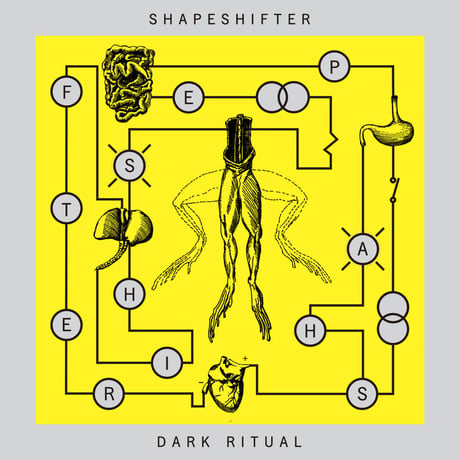 Shapeshifter - DARK RITUAL (CASSETTE)