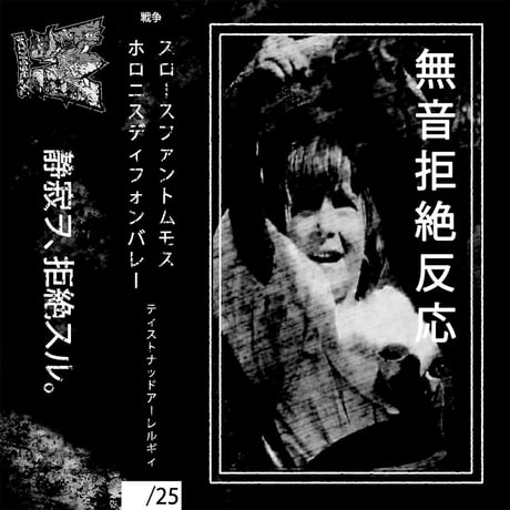 Horornisdiphonevalley / SlothPhantomMoth - Tystnadsallergi split (CASSETTE)