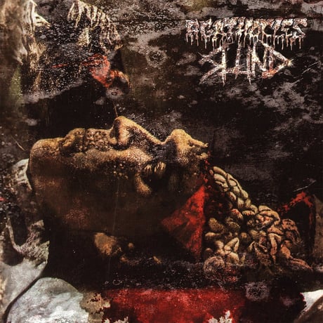 SLUND  / Agathocles - Split (CD)