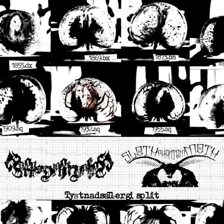 Horornisdiphonevalley / SlothPhantomMoth - Tystnadsallergi split (CD)