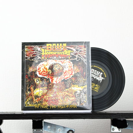 BLUE HOLOCAUST/ MORGUE BREATH split 7 inch