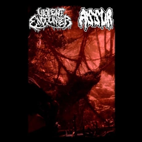 ASSUR / VIOLENT ENCOUNTER  - SPLIT(TAPE)