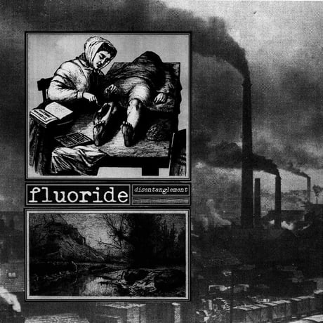 Fluoride - Disentanglement (LP)