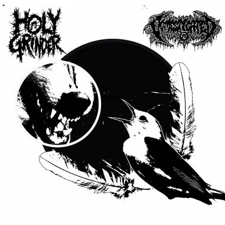 HOLY GRINDER / DOMESTICATED - Split (CASSETTE)