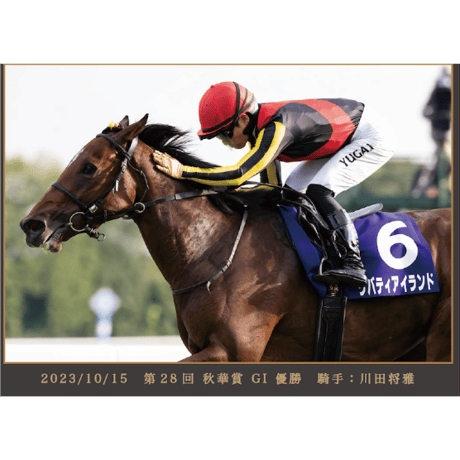 【数量50枚限定】リバティアイランド メモリアルグッズ 写真デザインパネル（シリアルナンバー入り）