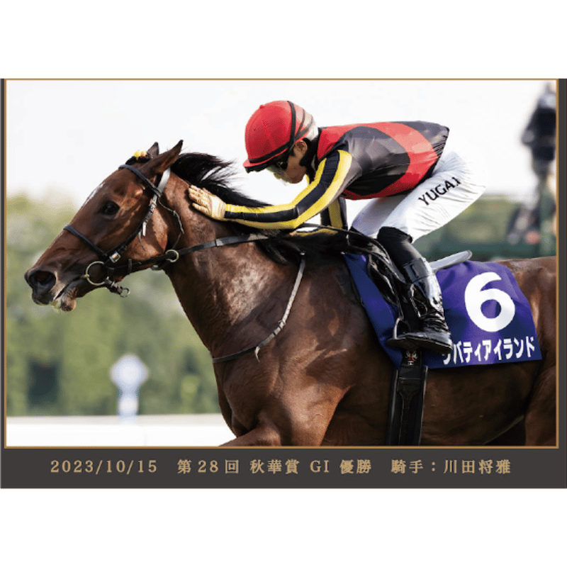 数量50枚限定】リバティアイランド メモリアルグッズ 写真デザイン