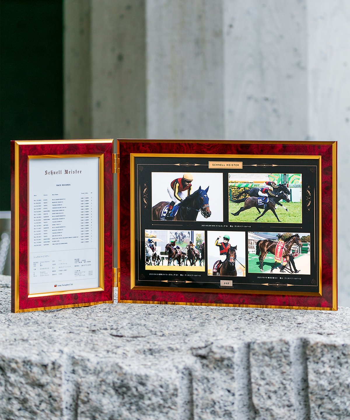 数量50個限定】シュネルマイスター引退記念写真デザインパネル