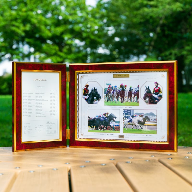 数量100個限定】ソングライン引退記念写真デザインパネル