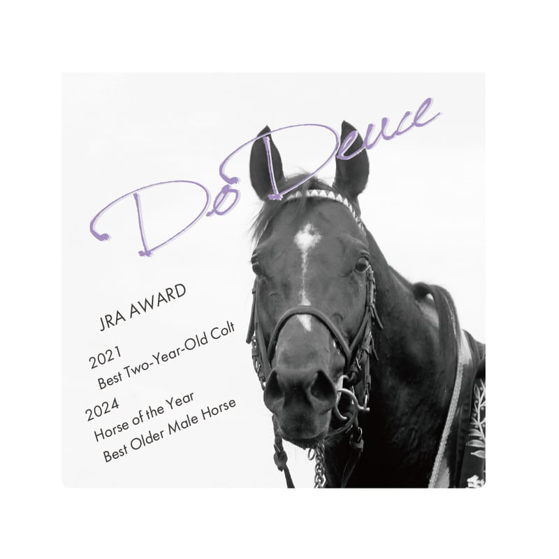 ドウデュース デザインステッカー (Aパターン/5枚組