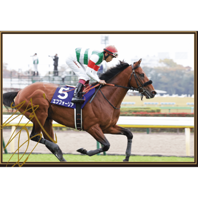 横山武史騎手直筆サイン入り エフフォーリア キャロット勝負服 競馬 横山武史騎手直筆サイン入り エフフォーリア キャロット勝負服 競馬