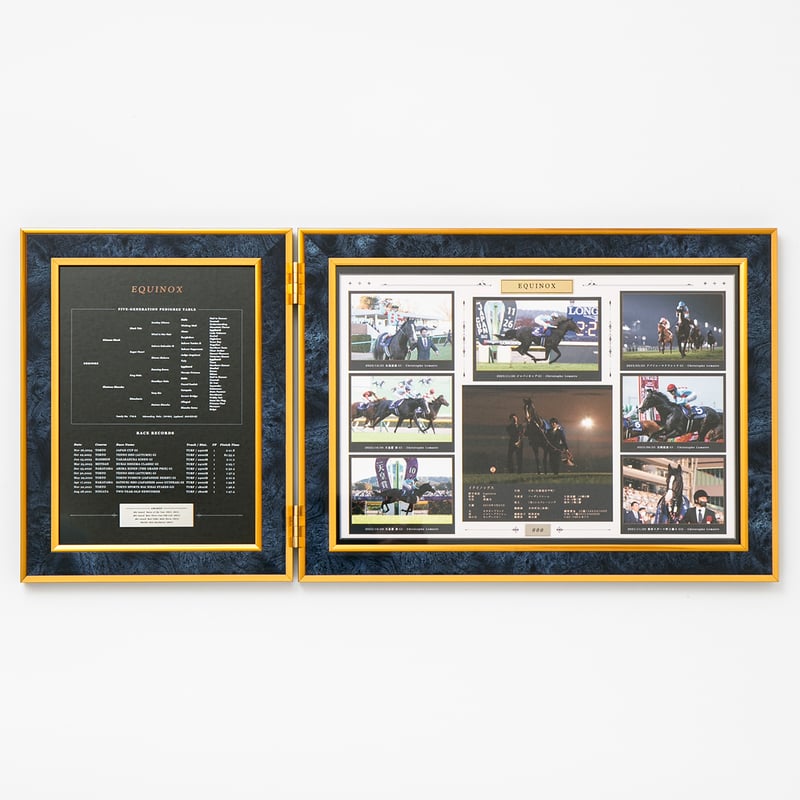 非売品】イクイノックス (J.C) ほそい フォトパネル 