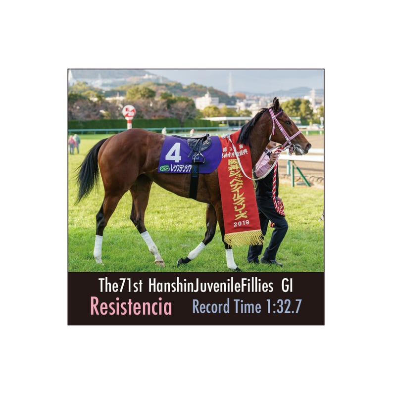 レシステンシア引退記念デザインステッカー5枚組 | HORSEGOODSnet