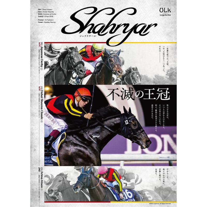 第45回有馬記念　B2ポスター 2025有馬記念ポスターのサイン解読｜日本サイン競馬会