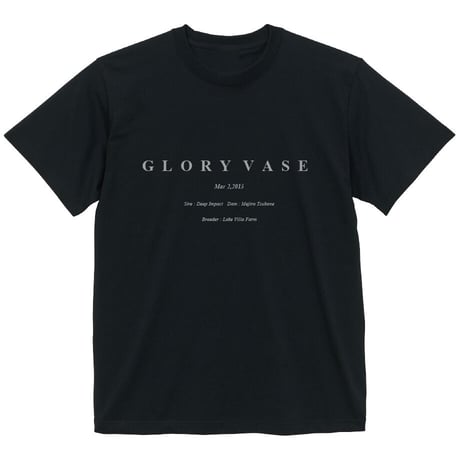 グローリーヴェイズ引退記念グラフィカルTシャツ（Bパターン黒/Black）