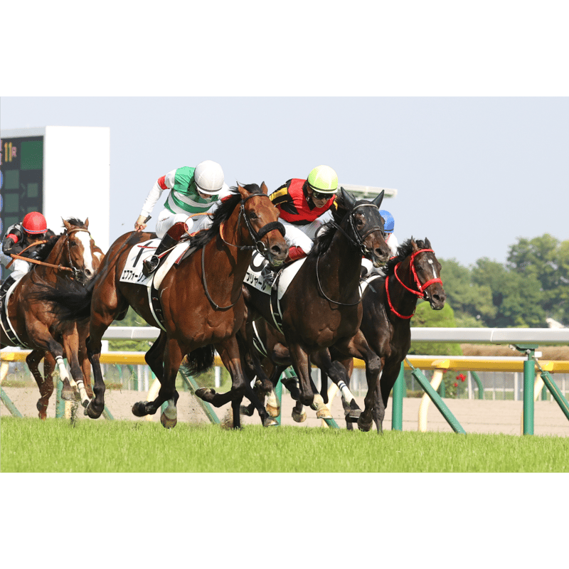 数量50枚限定】シャフリヤール引退記念写真デザインパネル（シリアル