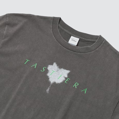 タスティエーラ引退記念 グラフィカルTシャツBパターン（グレー/Gray）