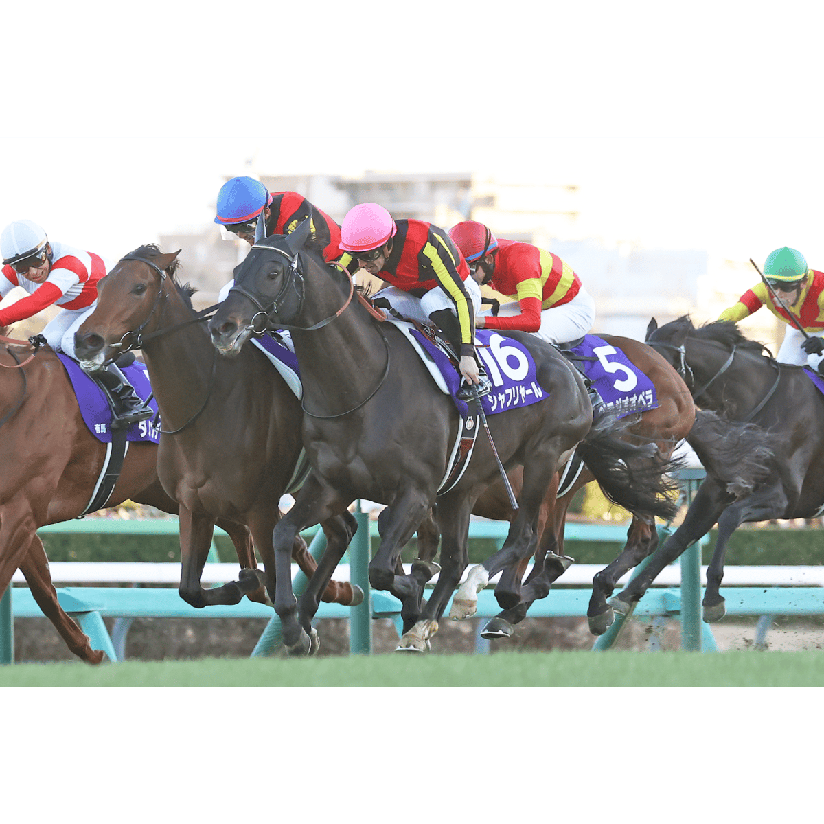 数量50枚限定】シャフリヤール引退記念写真デザインパネル（シリアル