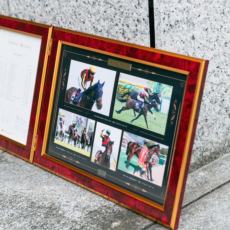 イクイノックス　引退記念写真デザインパネル　シリアルナンバー入り ２００個限定 200個限定 イクイノックス 引退記念写真デザインパネル シリアル