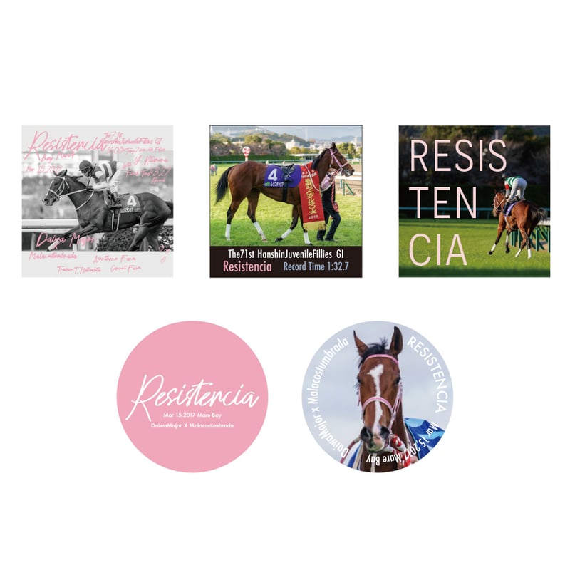 レシステンシア引退記念デザインステッカー5枚組 | HORSEGOODSnet