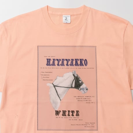 ハヤヤッコ グラフィカルTシャツAパターン（ピンク/Pink）