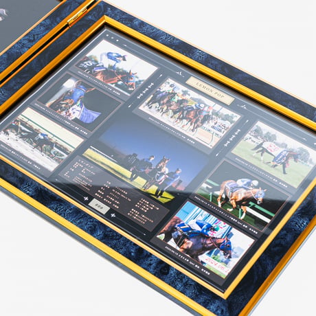 【数量５０個限定】レモンポップ引退記念写真デザインパネル（シリアルナンバー入り）