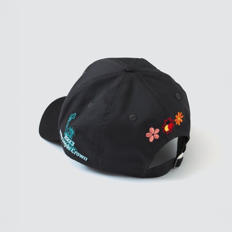 リバティアイランド メモリアルグッズ グラフィカルCAP（チャコールグレー/Charcoal gray）