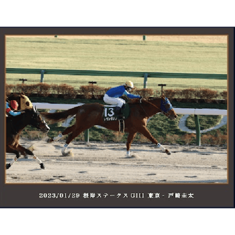 【数量５０個限定】レモンポップ引退記念写真デザインパネル（シリアルナンバー入り）