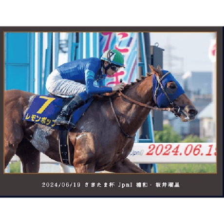 【数量５０個限定】レモンポップ引退記念写真デザインパネル（シリアルナンバー入り）