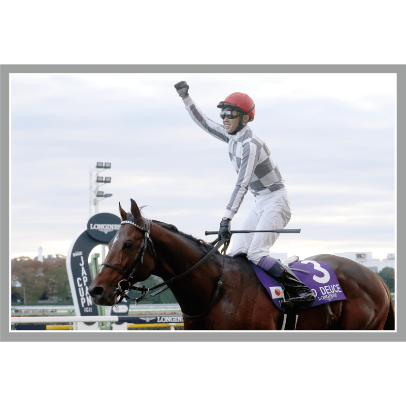有馬記念 ドウデュースポスター Yahoo!オークション - JRA