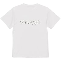 ソダシ引退記念グラフィカルミニクッション | HORSEGOODSnet