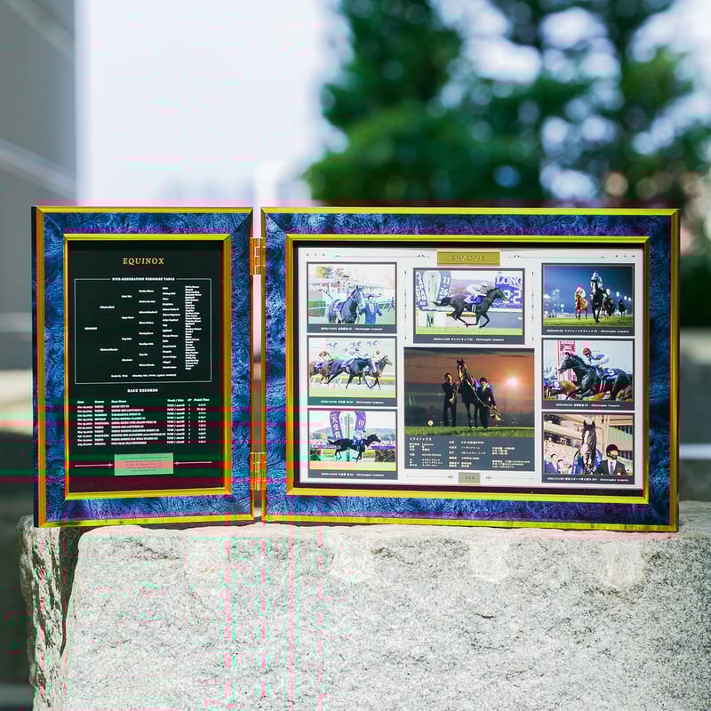 イクイノックス　引退記念写真デザインパネル　シリアルナンバー入り ２００個限定 200個限定 イクイノックス 引退記念写真デザインパネル シリアル