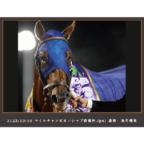 【数量５０個限定】レモンポップ引退記念写真デザインパネル（シリアルナンバー入り）