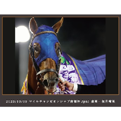 数量50個限定】レモンポップ引退記念写真デザインパネル（シリアル