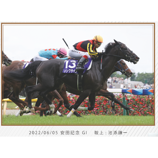 数量100個限定】ソングライン引退記念写真デザインパネル