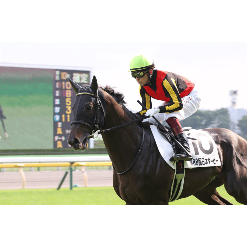 数量50枚限定】シャフリヤール引退記念写真デザインパネル（シリアル